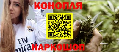 гидра Гагарин