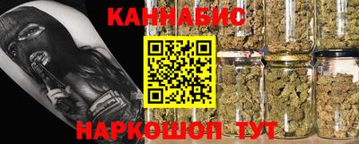 гидра Гагарин