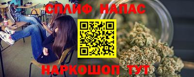 амф Гай