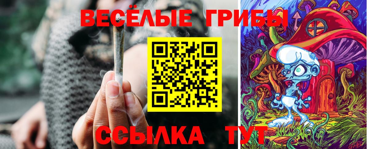 Нягань  Галлюциногенные грибы мухоморы  Псилоцибиновые грибы ЛСД  Вход с VPN 